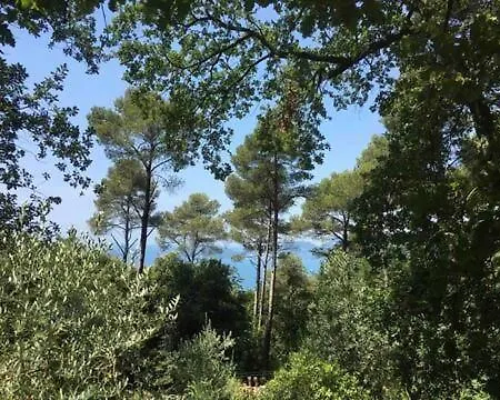 Mago In Ameglia * Monte Marcello